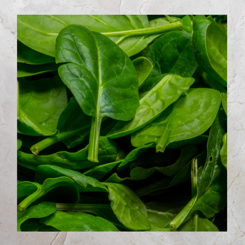 Spinach Baby  (85g)