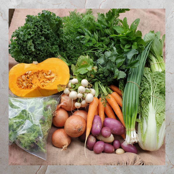 Farm Vege Box | Small & Large