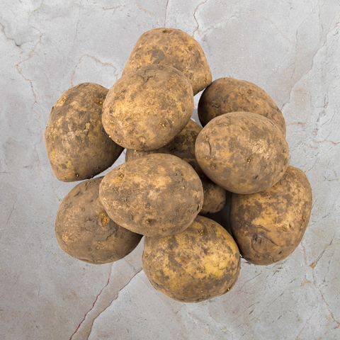 Potatoes Agria | Ceres | (500g)