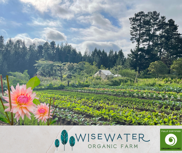 Tour | Wisewater Organic Farm Tour