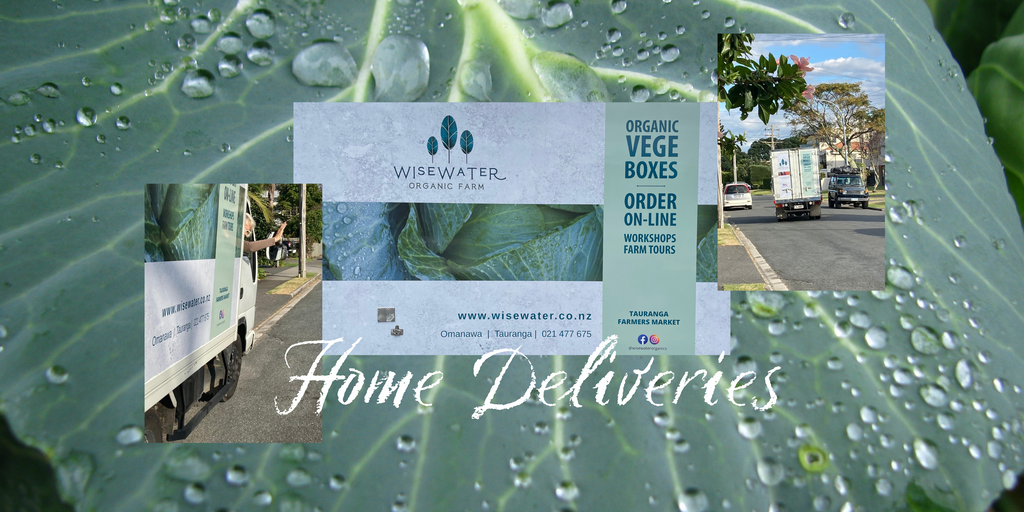 Home deliveries of organic veggie boxes