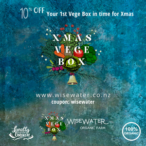 Organic Xmas Vege Box delivered to your door