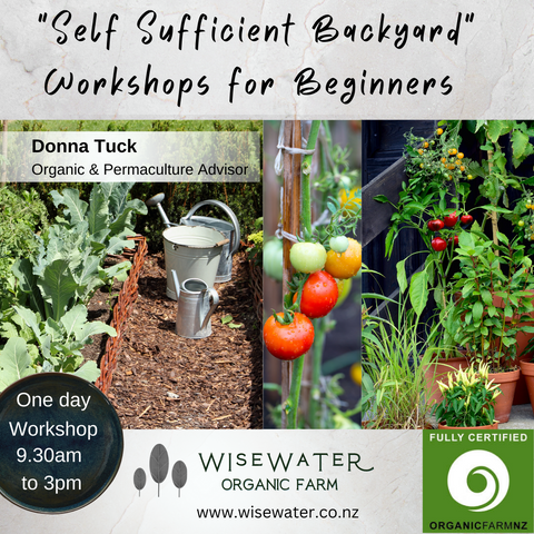 Workshop | Self Sufficient Backyard | Organic Gardening for Beginners