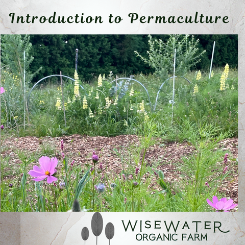 Tour | Introduction to Permaculture | Thurs 9th March |Sustainable Backyards