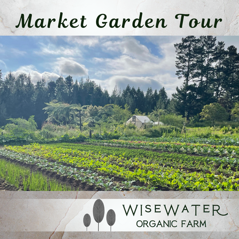 Tour | Wisewater Market Garden Tour | Wednesday 15th March | Sustainable Backyards